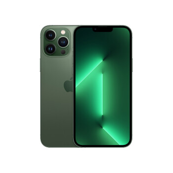 Apple iPhone 13 Pro Max (A2644) 1T 苍岭绿色 支持移动联通电信5G 双卡双待手机