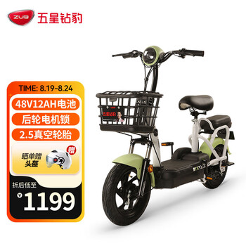电动车电瓶车_五星钻豹 电动车 TDT29Z A0