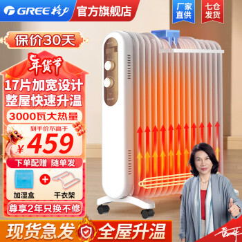 格力（GREE） 电油汀取暖器电暖器家用取暖气17片油丁电暖气烤火炉速热暖气片客厅卧室干衣加湿暖风机 NDY19-S6130大面积10㎡-40㎡