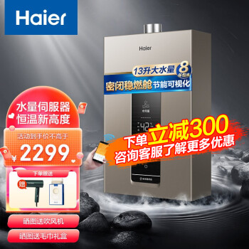 【新品】海尔（Haier）水量伺服器燃气热水器 天然气恒温热水器密闭稳燃舱下置风机节能可视化EC5U 13升