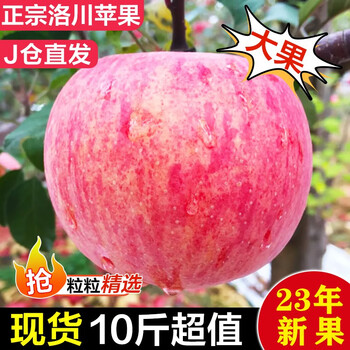 京东百亿补贴：美水乐虹 洛川红富士礼盒 8-10枚中果 单果150g+现摘现发食品类商品-全利兔-实时优惠快报