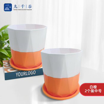 京东PLUS：九千谷 树脂花盆 绿植花盆家用桌面控根多肉塑料花盆白橙2个装20.5cm9011其它类商品-全利兔-实时优惠快报
