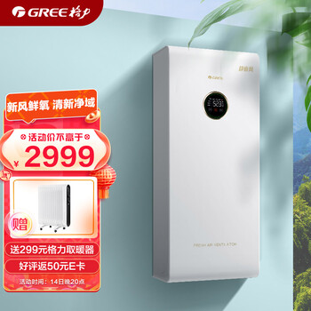 格力（GREE）空气净化器除甲醛除烟味家用除灰尘空气消毒机新风机除雾霾粉尘 高性价比+高颜值（FHGKD-B3DA）