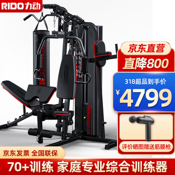 力动（RIDO）四人站综合训练器 三人站多功能家用引体向上健身房商用健身器材力量训练器械【含吊式沙袋】