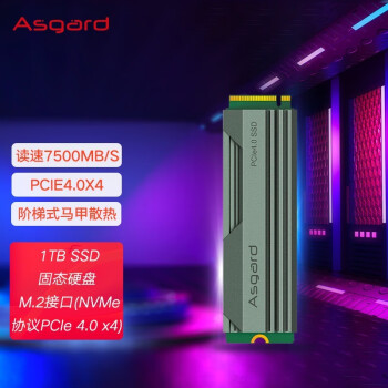 阿斯加特（Asgard）1TB SSD固态硬盘 M.2接口(NVMe协议PCIe 4.0 x4) 五 AN4 1TB