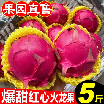 果迎鲜红心火龙果 5斤装 新鲜水果 广西金都一号 红肉蜜宝 9-12个左右食品类商品-全利兔-实时优惠快报
