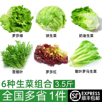 绿食者 沙拉蔬菜组合3.5斤 新鲜苦菊绿叶红叶生菜西餐沙拉健康轻食蔬菜 蔬菜沙拉组合3.5斤【无沙拉酱】