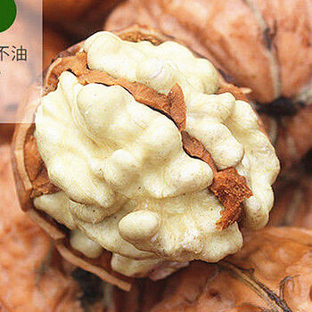 龙觇 鲜核桃 云南现摘老树大果新鲜薄皮核桃 5斤净重[核桃夹]食品类商品-全利兔-实时优惠快报