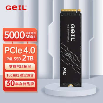 GeIL金邦 2TB SSD固态硬盘 M.2接口(PCIe 4.0 x4)NVMe SSD游戏高性能版 P4L系列