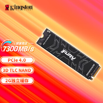 ʿ(Kingston) FURY 2TB SSD̬Ӳ M.2ӿ(NVMe PCIe 4.04) Renegade 7300MB/s AI 