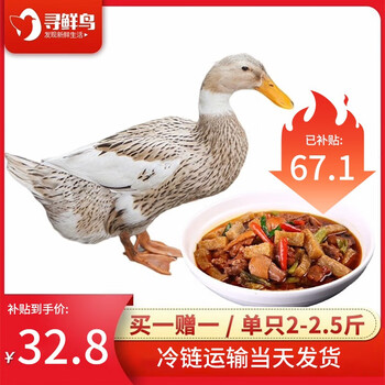京东百亿补贴：寻鲜鸟 白条散养土鸭 2只 食品类商品-全利兔-实时优惠快报