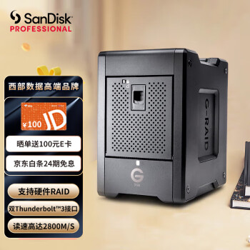 闪迪大师16T桌面移动SSD固态硬盘 雷电3/Type-C/USB3.1 8盘位磁盘阵列菊链扩展 RAID 西部数据高端品牌