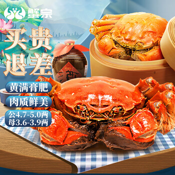 蟹宗 大闸蟹 公蟹225-240g 母蟹175-190g 8只 礼盒装食品类商品-全利兔-实时优惠快报
