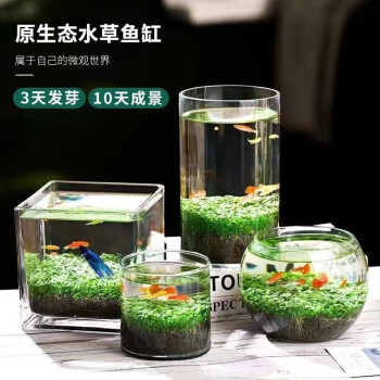 雪束上生态鱼缸造景水草泥真草玻璃瓶水生绿植 生态缸（款式随机）+草子+草泥  1个
