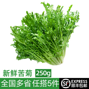 绿食者 新鲜苦菊250g 苦细叶 苦叶生菜 苦苣蔬菜沙拉健康轻食食材