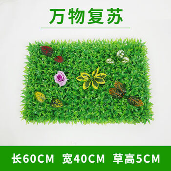 现货直发仿真草坪绿植墙植物墙室外门头背景墙面装饰花草阳台室内塑料