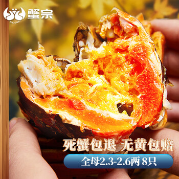 京东PLUS：蟹宗 大闸蟹鲜活螃蟹现货 全母2.3-2.6两 8只装 生鲜活蟹中秋礼品礼盒湖蟹水产食品类商品-全利兔-实时优惠快报