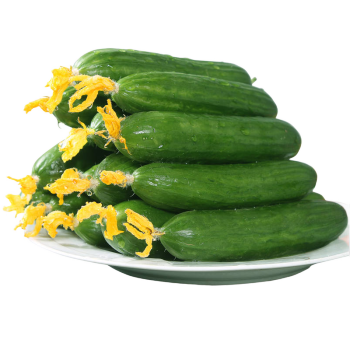 5斤水果蔬菜小黄瓜新鲜现发超值荷兰茄果瓜类