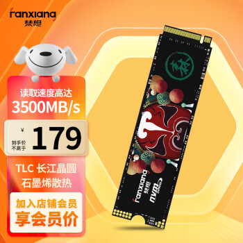 梵想（FANXIANG）512GB SSD固态硬盘 精选长江存储晶圆 国产TLC颗粒 M.2接口(NVMe协议) S500PRO