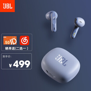 JBL W300TWS 真无线蓝牙耳机 半入耳式音乐耳机 通话降噪 运动防汗 苹果安卓手机带麦游戏耳机 浅湖蓝