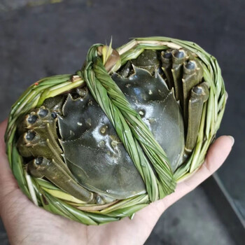 Brangdy 巨无霸 大闸蟹 8只礼盒装公蟹 单只4.7-5两 不含绳子食品类商品-全利兔-实时优惠快报