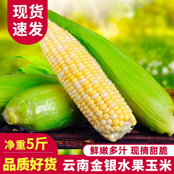 京东百亿补贴: 中鲜生 水果玉米甜玉米 5斤装全利兔-实时优惠快报