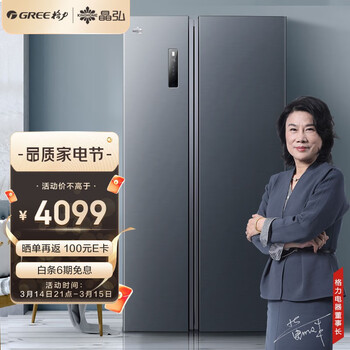 格力（GREE）晶弘 600升一级能效变频风冷离子净味大容量双开对开门冰箱 BCD-600WPDCL/布鲁斯