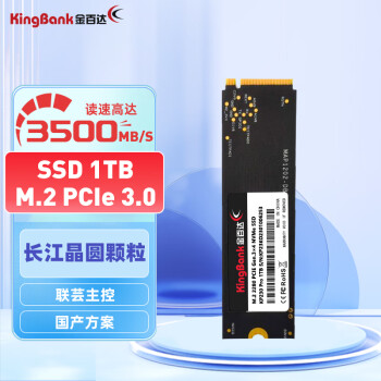 ٴKINGBANK1TB SSD̬Ӳ M.2ӿ(NVMe PCIe 3.0 ) 3500MB/s KP230 Proϵ 洢Բ
