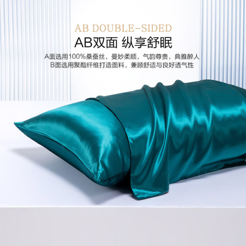 MERCURY 水星家纺 100%桑蚕丝枕套真丝情侣枕罩单件 48x74cm家具家装类商品-全利兔-实时优惠快报