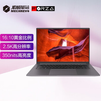 机械革命(MECHREVO)F6 16英寸 2.5K 100%sRGB 2021标压版（英特尔酷睿i5-11300H 16G 512G）轻薄笔记本电脑