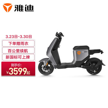 雅迪电动车DE2新国标电动自行车可上牌48V24Ah锂电电动车百公里长续航男女通用款电瓶车 金属钛灰基础版