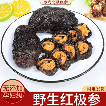 江湖蜜即食海参加拿大冰岛进口北极红参红极参纯野生海参非即食辽参hh