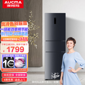 澳柯玛235升变频冰箱适合哪种家庭使用？插图