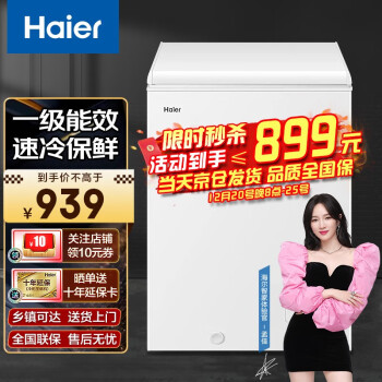 海尔（Haier）冰柜家用商用迷你小冷柜 一级能效小型冷冻柜节能小冰箱小冰柜冷藏转换柜 BC/BD-100GHZ