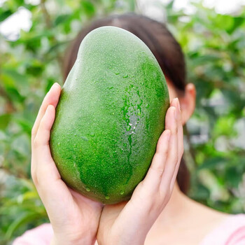 四川攀枝花凯特芒 9斤 特大果 单果600g+食品类商品-全利兔-实时优惠快报