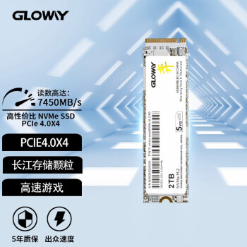 光威（Gloway）SSD固态硬盘 M.2接口 TLC PCIe4.0 弈系列 2TB【7450MB/s】 弈系列