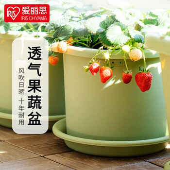 IRIS 爱丽思 花盆加厚树脂控根盆Deepot圆口绿萝绣球蔷薇月季塑料花盆无盆托 8号白色(口径约26.6cm)无盆托其它类商品-全利兔-实时优惠快报
