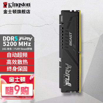 金士顿 (Kingston) FURY台式机内存条 Beast野兽系 DDR5第五代内存 5200  16G