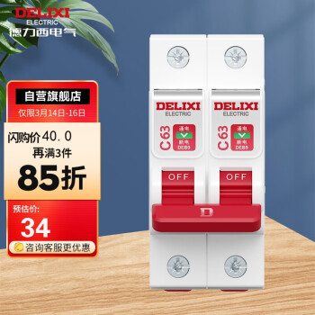 德力西(DELIXI)空气开关 DEB9鲸鱼系列 家用空开小型断路器2P双极断路器 2P63A