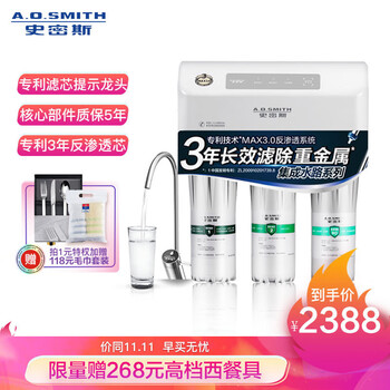 史密斯(A.O.Smith) 家用净水器 专利MAX3.0反渗透滤滤芯 标配专利智能龙头 有桶 净水机 R50VTC1 家电