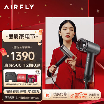 AIRFLY 鱼子酱吹风机 负离子护发 高速电吹风筒家用大功率速干恒温不伤发 送礼礼盒P1 太空灰【标准版】