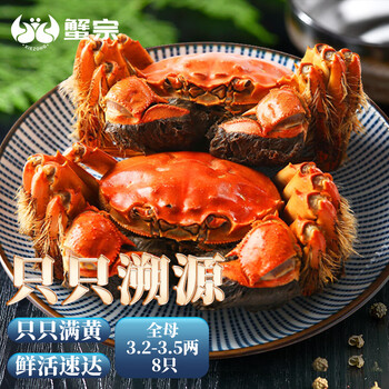 蟹宗 大闸蟹鲜活螃蟹现货 全母3.2-3.5两/只 8只装 生鲜活蟹中秋礼品礼盒湖蟹食品类商品-全利兔-实时优惠快报