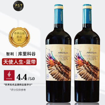 露仙歌酒庄智利红酒 天使人生酒庄（ANGELIVE） 乐歌诗 进口干红葡萄酒 蓝带珍藏干红 礼盒装