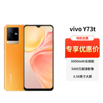 vivo Y73t ˫ģ5Gֻ ȫͨ 8GB+256GB  6000mAh 5000  ֻ ר