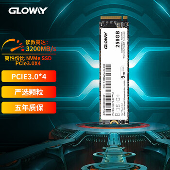 光威（Gloway）256GB SSD固态硬盘 M.2接口 PCIe 3.0 Basic+ 读速高达3200MB/s全利兔-实时优惠快报