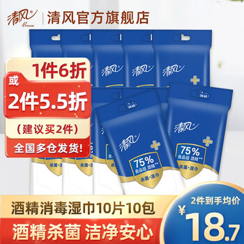 Breeze 清风 酒精湿巾 10片*10包 便携装日用百货类商品-全利兔-实时优惠快报