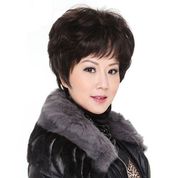 中老年人假发女短发短卷发全头套自然蓬松逼真洋气妈妈真头发套 板栗