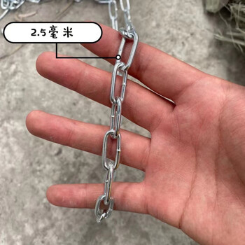 链条链条链条铁链细铁链狗链加粗铁链锁镀锌链链25毫米3米1个安全扣