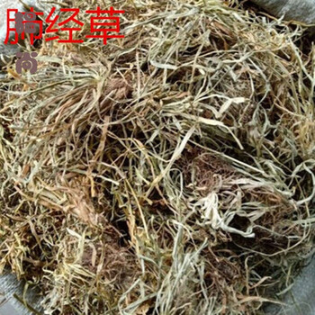 肺心草肺筋草肺经草小叶自晒自收50克