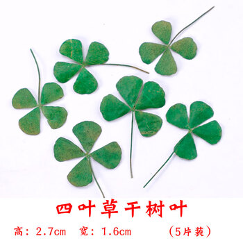 查看源网页